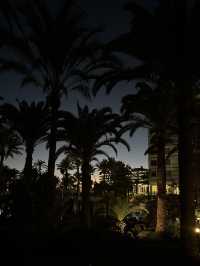 GRAN CANARIA 🌺