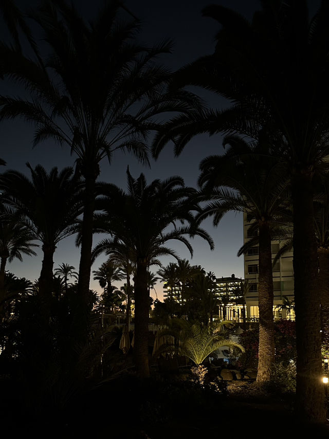GRAN CANARIA 🌺
