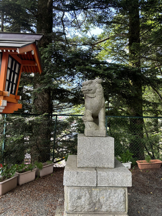 Mount Fuji is not so easy to catch! But this iconic Fuji viewing spot is still worth it
