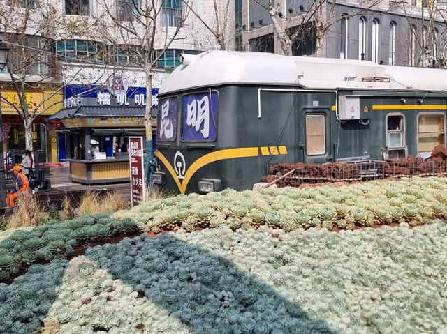 Kunming China 🗺️