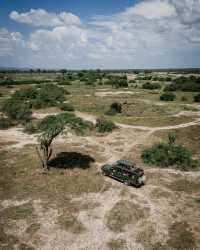 Northern Circuit Safaris