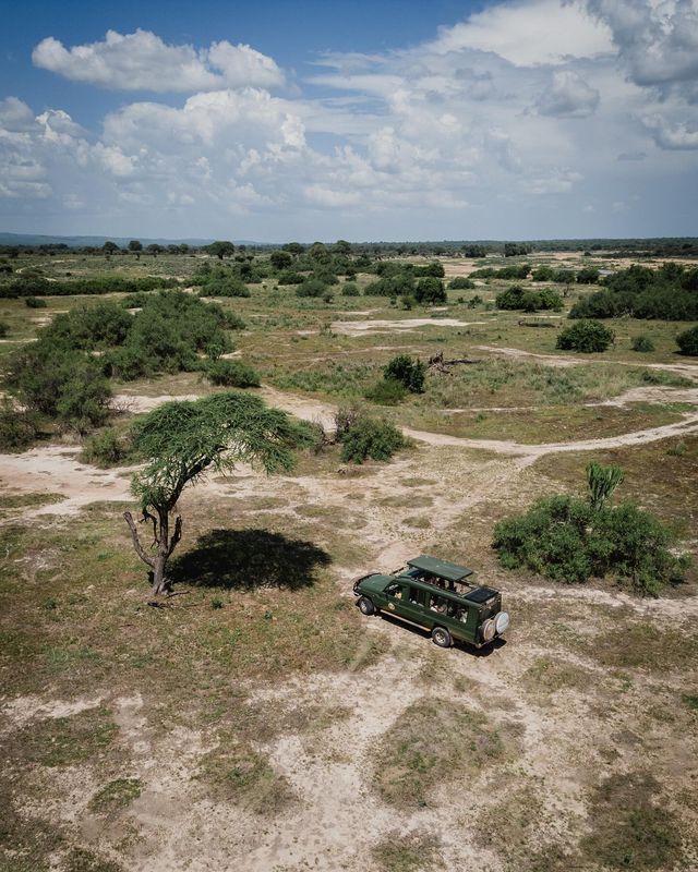 Northern Circuit Safaris