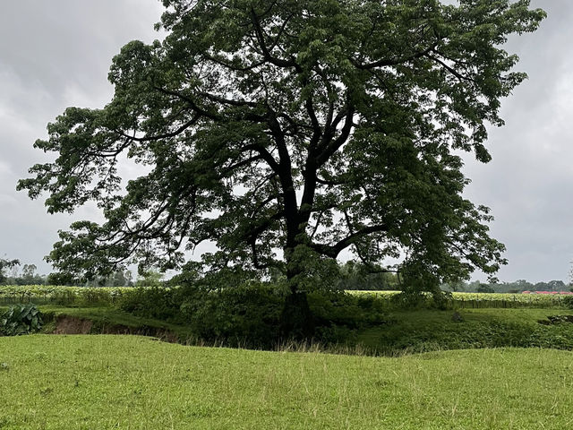 A Trip to Sunamganj – Beauty Beyond Imagination