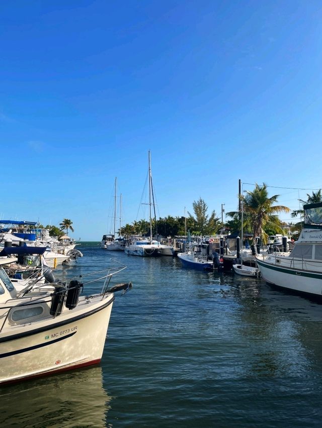 Entertaining Florida: US State of Sunshine 🇺🇸