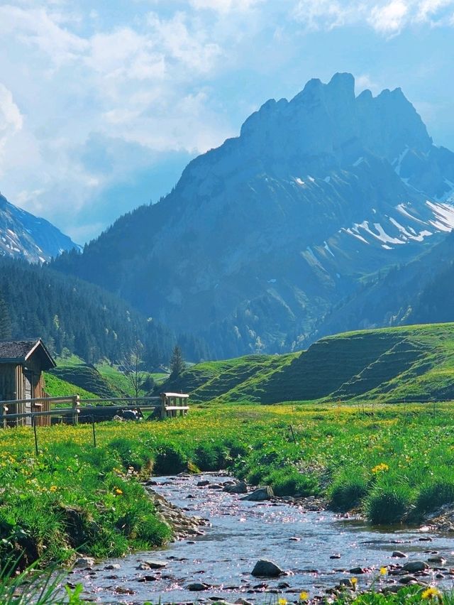Hiking in Appenzell🇨🇭 A Hidden Alpine Gem!