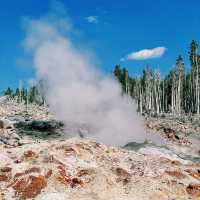 🌄 Yellowstone Hidden Icons – Another Set of Must-See Landmarks 🌄