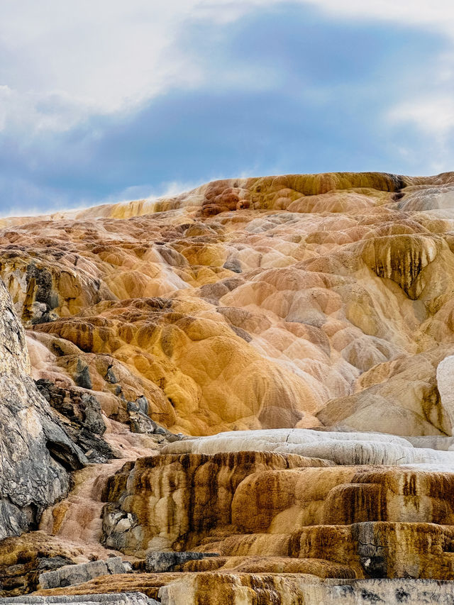 Yellowstone: One of the most beautiful national parks
