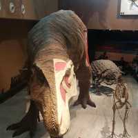 An excellent dinosaurs collection in Shanghai Natural History Museum 