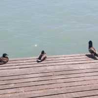 Balatonfüred is a beautiful city