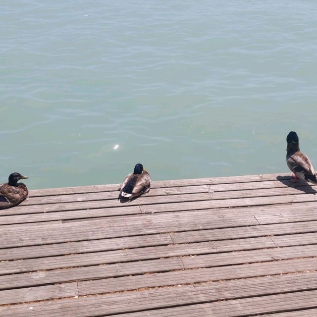 Balatonfüred is a beautiful city
