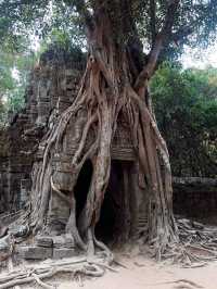 Angkor Wat Adventure! 🏛️✨
