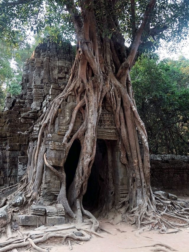 Angkor Wat Adventure! 🏛️✨
