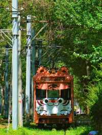 A Quiet Charm in the North: A Day in Changchun