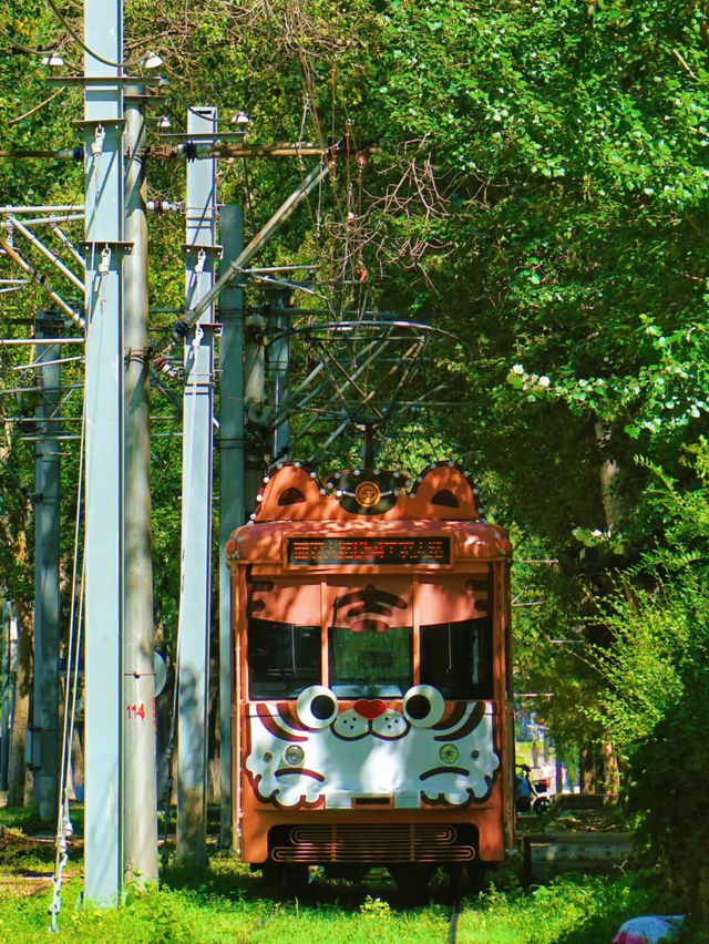 A Quiet Charm in the North: A Day in Changchun