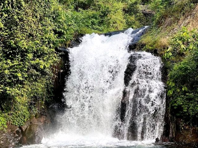 🐬 Lovina – Bali’s Tranquil Northern Escape