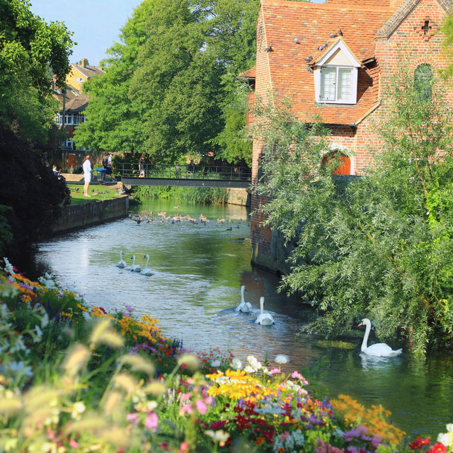 Canterbury: A Fairytale Tapestry of Petals, Rivers & Cobbled Whispers Canterbury: A Fairytale Tapestry of Petals, Rivers & Cobbled Whispers