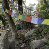 Mystic Views & Monkey Business: Your Guide to Swayambhunath (Monkey Temple)