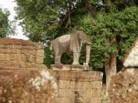 Angkor Complex – A Timeless Wonder of Cambodia