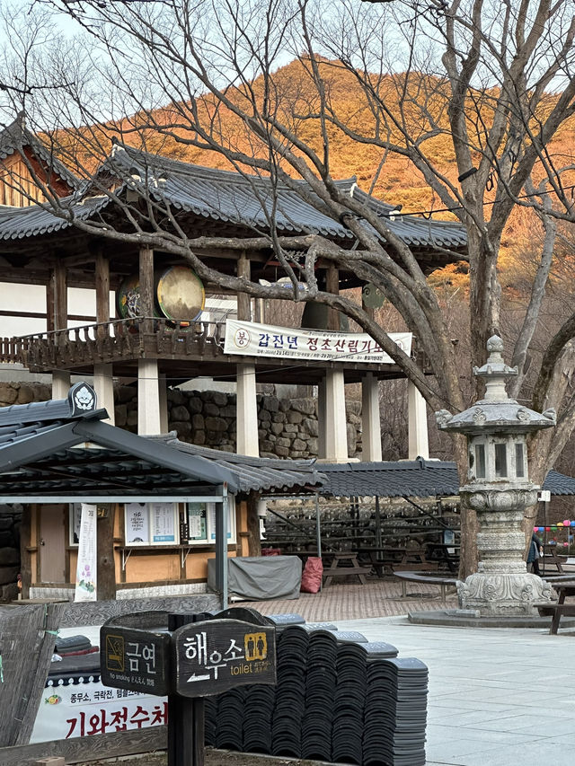 Here’s your cheat sheet for 3 epic days in Daegu Korea