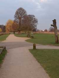 A Peaceful Day Trip to Richmond Park: London’s Countryside Escape 🌳