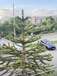 Штутгарт с высоты