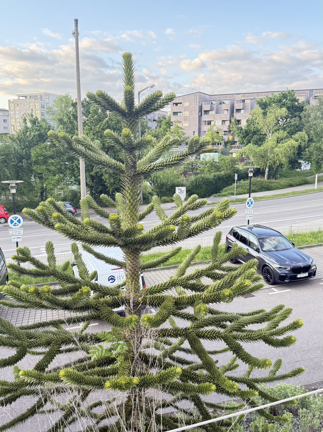 Штутгарт с высоты Штутгарт с высоты