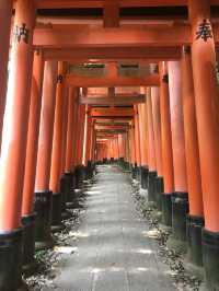 Fushimi Inari: Magical Foxes and Thousands of Tori