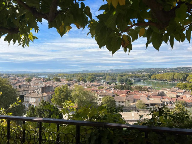 🇫🇷 View Over Avignon