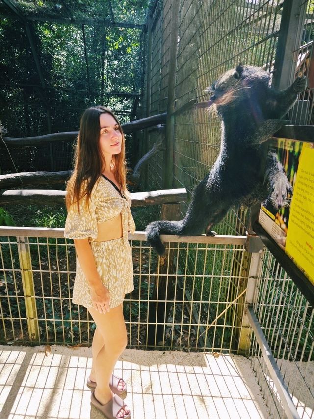 Budget safari is on Phu Quoc Island! 🌿🦁 Budget safari is on Phu Quoc Island! 🌿🦁