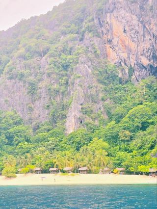 科隆的翡翠覺醒：原始美與責任的頂尖課程