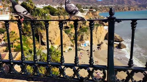 Why You Should Explore Beyond Málaga: Chill Stays, Unreal Beaches & Bomb Local Eats 🇪🇸✨ — traveler post in Nerja