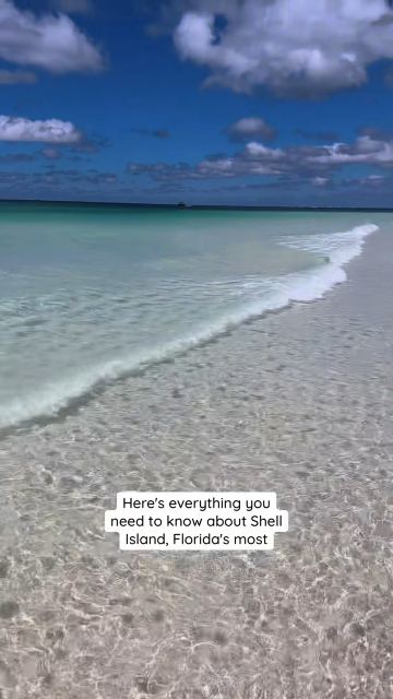 Here's everything you need to know about Shell Island, Florida’s most