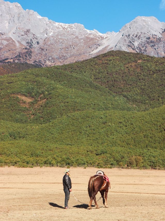 Grasslands near Lijiang, Yunnan🌿🍃