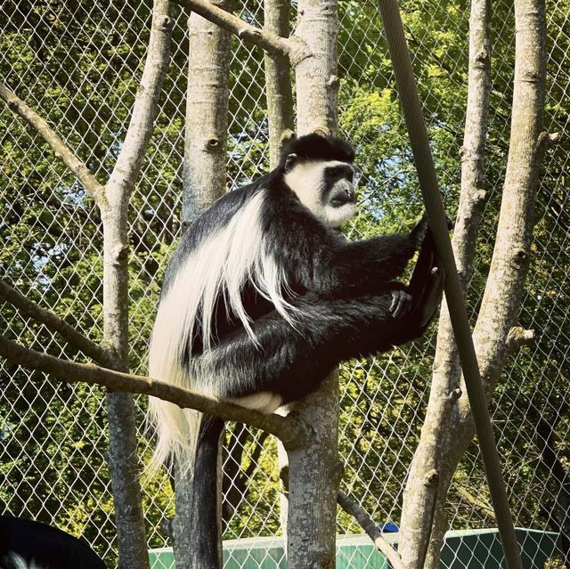 London Zoo