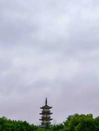 魔都｜比起烏鎮我更喜歡這個被遺忘的免費古鎮