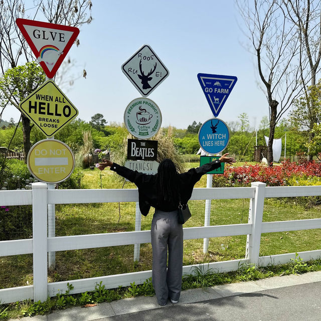 🔔在南京值得去打卡地点Popular spot In Nanjing 