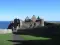 Elara_lion