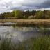 RailiViljanen