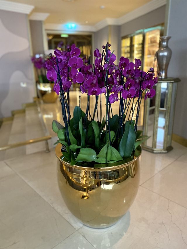 The luminous Intercontinental Istanbul! ✨