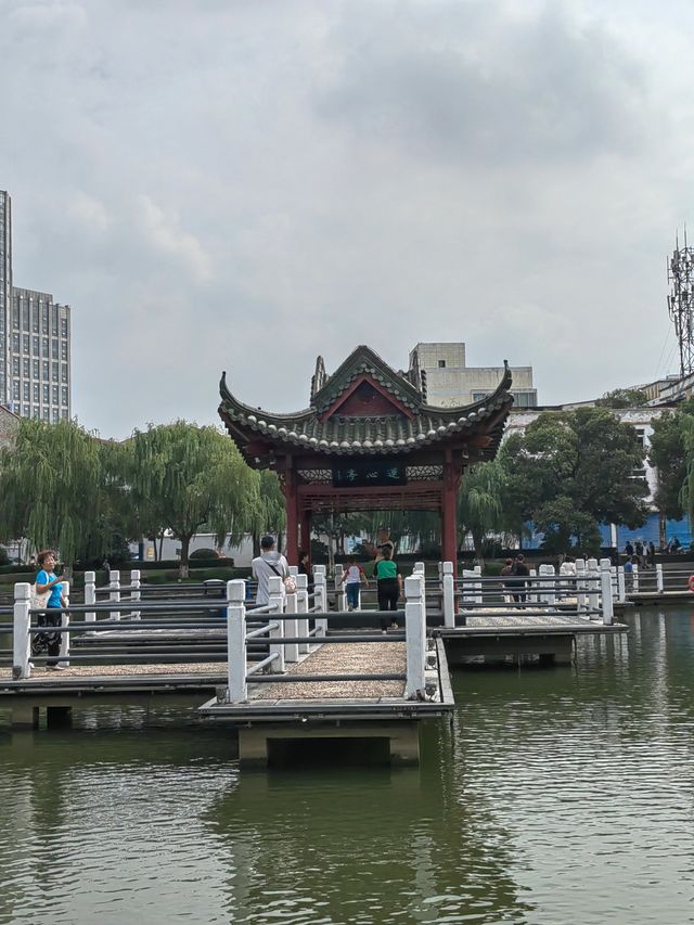 芜湖鏡湖公園丨鑲嵌在芜湖大地上的一顆璀璨的明珠