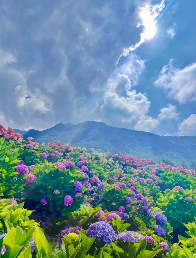 Lijiang's off-the-beaten-path guide - Fairy Tale World, Tinghua Valley!