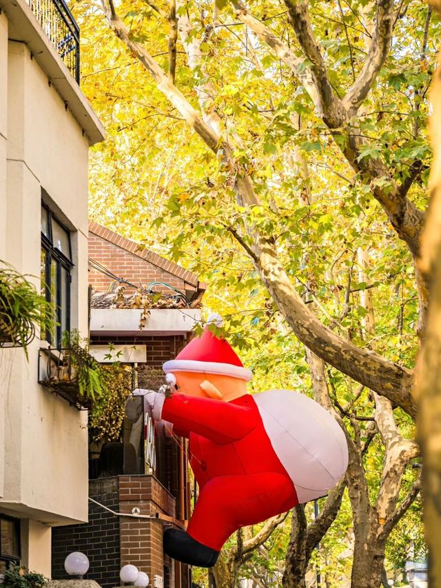 人生建議:12月逛完這些小馬路再離開上海! 人生建議:12月逛完這些小馬路再離開上海!