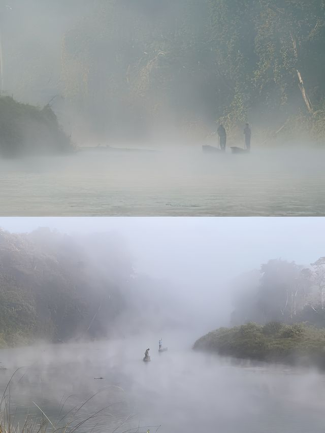 狂野奇特旺，叢林裡追逐遺產級的亞洲獨角犀牛