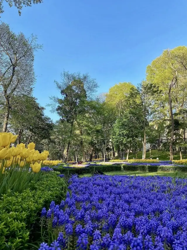 Gulhane Park - Istanbul