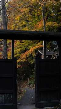 日本東北旅行之東鳴子溫泉百年旅館大沼，鳴子峽紅葉