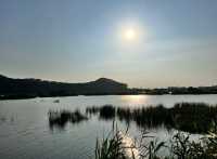 邂逅自然之美——海豐縣大湖鎮濕地公園