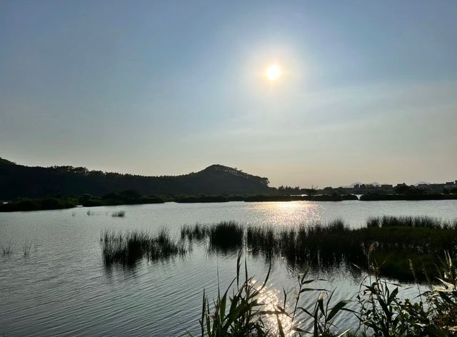 邂逅自然之美——海豐縣大湖鎮濕地公園