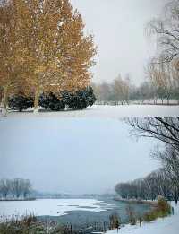 北京雪景｜朝陽公園