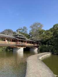 後悔沒早點來柳州，龍潭公園太好拍了