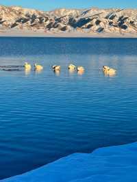 新疆的塞里木湖有生之年一定要去一次！！